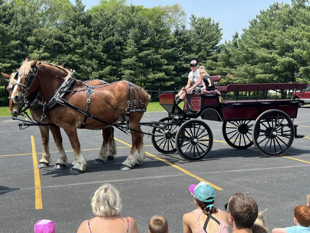Two horses and a wagon for a special event at Little Lamb Preschool