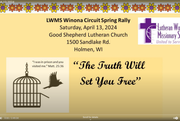 Screenshot of video for LWMS Rally